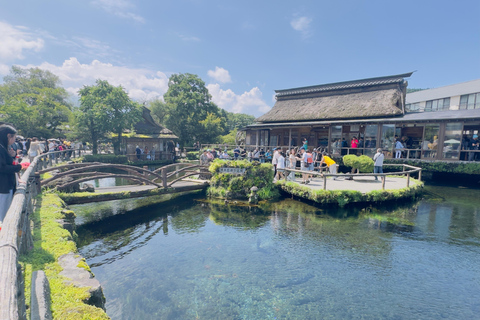 Japão: Tour particular de 7 dias com Tóquio, Kamakura e Osaka