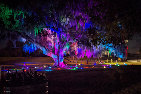 New Orleans: Christmas Bonfire Experience