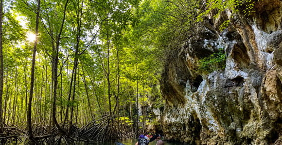 Krabi: Mangrove Kayaking, Lagoon, and Waterfall Tour