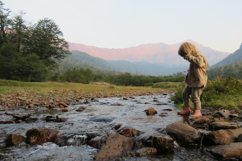 San Martin de los Andes Sightseeing Tour: Mallin Grande