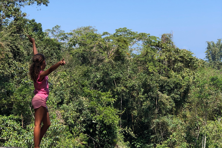 Paraty 3-in-1 Jeep Tour: Beach, Island, and Unmissable Waterfall