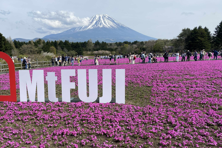 Fuji: kultur, skog och utsikt – privat skräddarsydd turFuji-kultur, skog och naturskön utsikt: Privat skräddarsydd tur