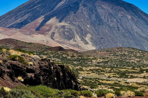 Best of Tenerife: Panoramic Shore Excursion with Port Pickup Shared Tour