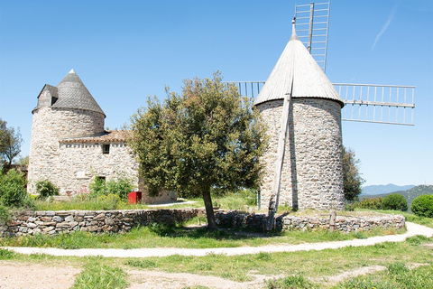 Béziers : Découvrez les vignobles de Faugères avec un pique-nique