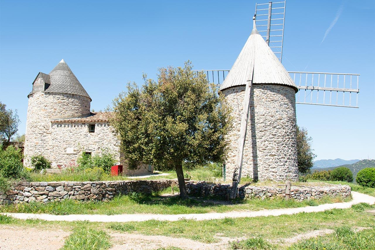 Béziers : Erkunde die Weinberge von Faugères mit einem Picknick