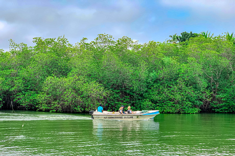 Madu River Boat Safari & Traditional Mask Workshop Visit Pick-up From: Hikkaduwa