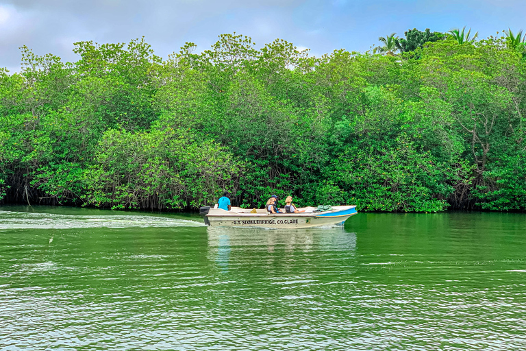 Madu River Boat Safari & Traditional Mask Workshop Visit Pick-up From: Hikkaduwa