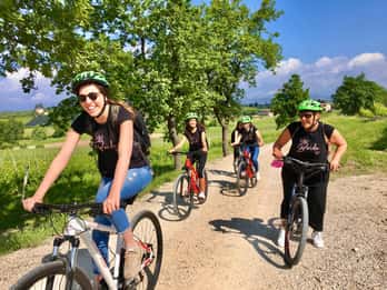San Felice: tour in e-bike e degustazione di olio d'oliva con cibo
