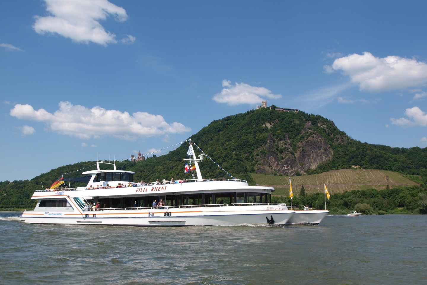 Da Bonn: Crociera Turistica sul Reno fino a Linz