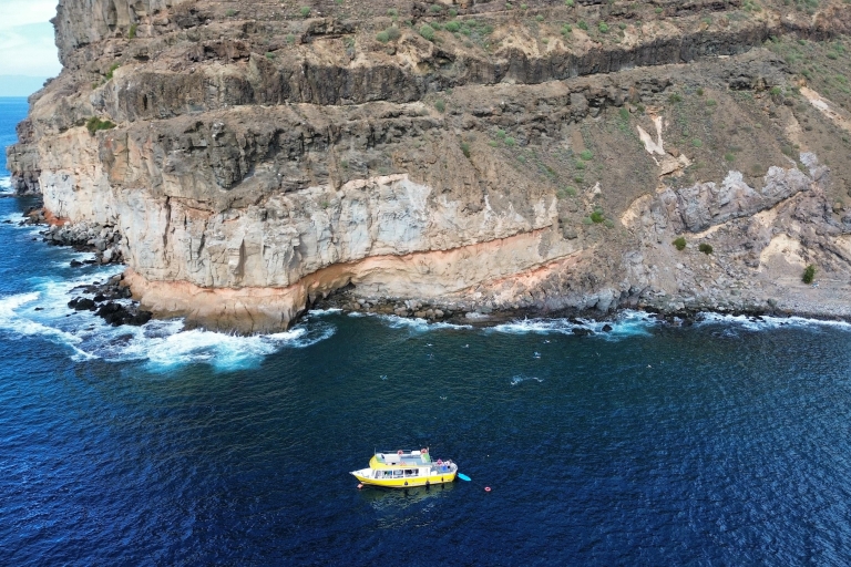 Desde Puerto de Mogán: excursión en barco y esnórquelPuerto de Mogán: excursión en barco y esnórquel