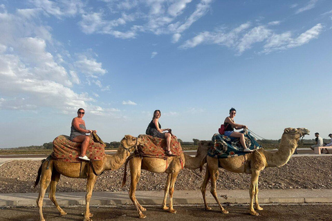 Agadir: Private Souss River Camel Ride with Pickup