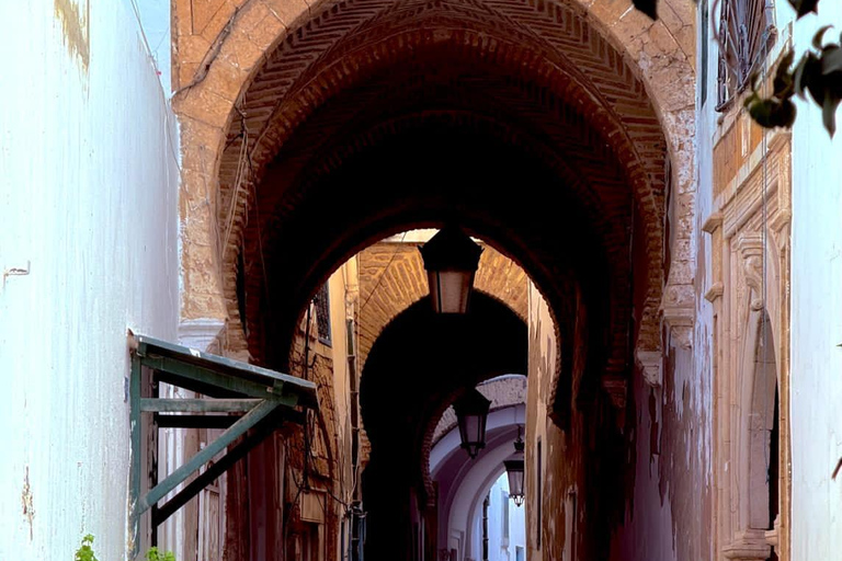 Tunis: Medina & Bardo Museum Private Tour with Tickets