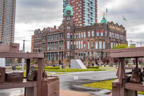 Rotterdam: Tour privado de arquitectura con un experto local