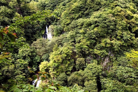 Porte de Nikko de luxe ; visite guidée privée