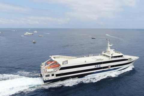 Naples: Fast Ferry Journey Between Naples and Sorrento Ferry from Sorrento → Naples (One Way)