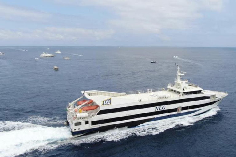 Naples: Fast Ferry Journey Between Naples and Sorrento Ferry from Sorrento → Naples (One Way)