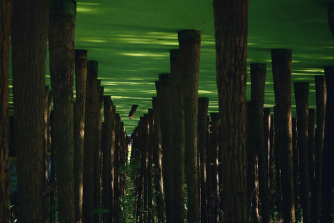 Hangzhou: Qingshan Lake Scenic Lakeside Private Day Tour