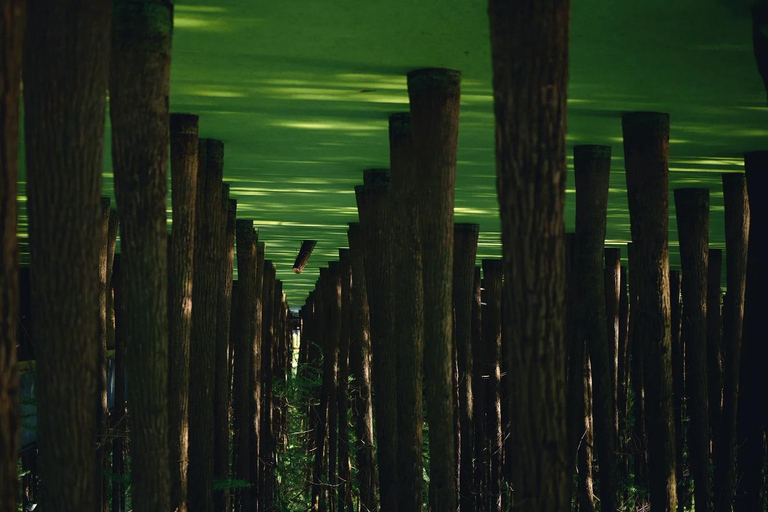 Hangzhou: Qingshan Lake Scenic Lakeside Private Day Tour