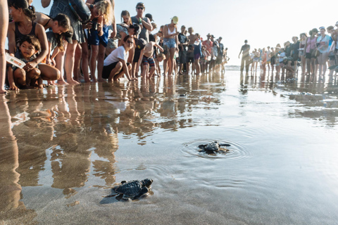 Bali: Schildpadden loslaten en watersportactiviteiten per optie