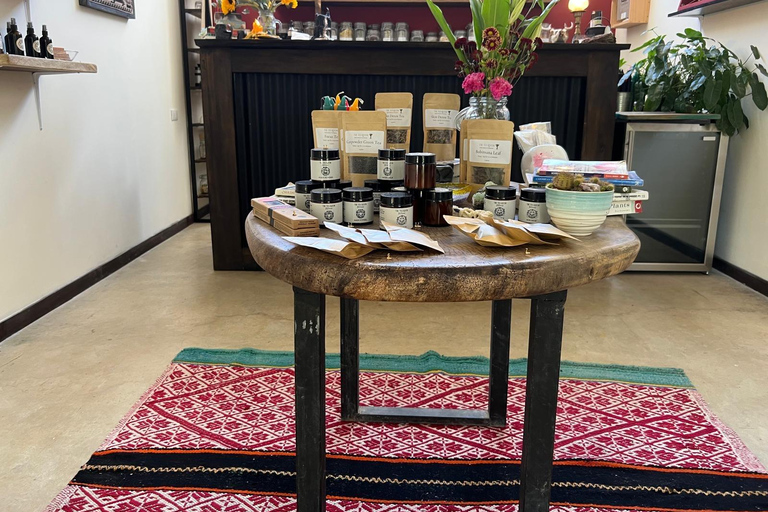 Montezuma: Retiro de bem-estar de 5 dias com refeições e atividadesMontezuma: retiro de bem-estar de 5 dias com refeições e atividades