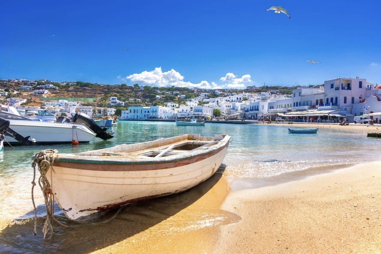 Cruzeiro guiado em Mykonos com um jipe exclusivo para passageiros: Visita obrigatória em 4h