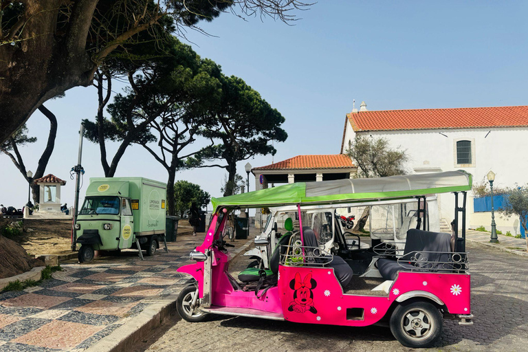 Lisbon: Private Tuk-Tuk Tour with Hotel/Cruise Port Pickup Whole City Tour