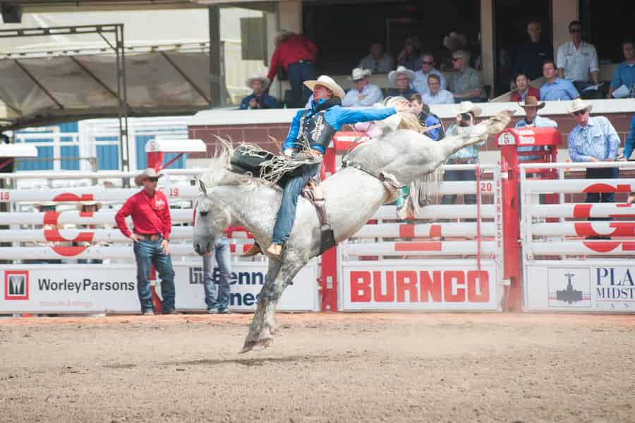 Calgary Stampede Rodeo am Nachmittag. Foto: GetYourGuide