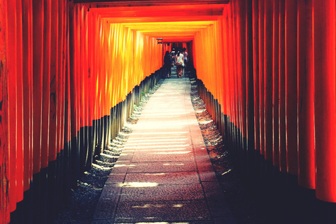 Nara Kyoto: Private Kyoto Tour with English Speaking Guide