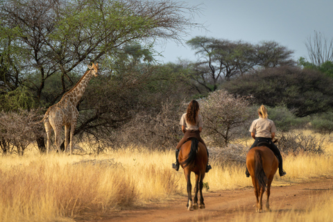 Vanuit Johannesburg: Paardrijden safari