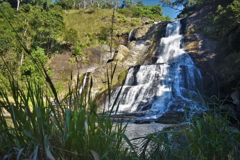From Ella: Diyaluma Waterfall & Natural Pool Bath With Lunch From Ella: Diyaluma falls, Full Day tour with Lunch