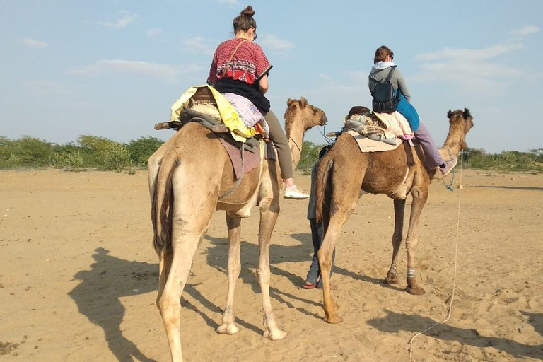 Excursão ao Rajastão combinada com Varanasi e muita natureza