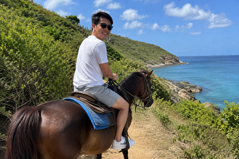 St. Maarten: Scenic Horseback Ride & Caribbean Sea Swim