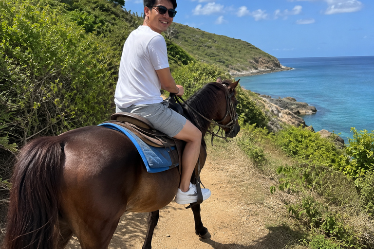 St. Maarten: Scenic Horseback Ride & Caribbean Sea Swim