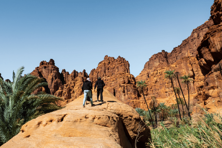 Wadi Disah Adventure (from Al Ula)