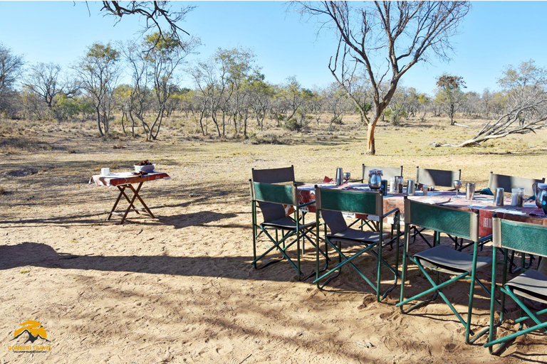 3-Day Wildlife Wonder! Tarangire, Lake Manyara & Ngorongoro.