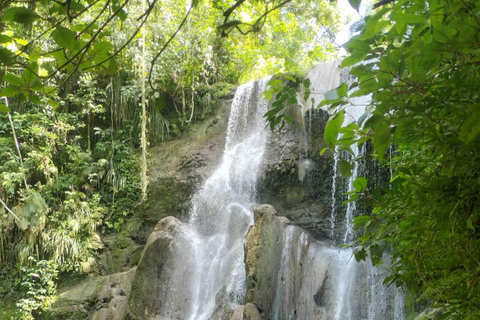 Porto Rico : Randonnée sur la rivière Gozalandia et visite des chutes d&#039;eau