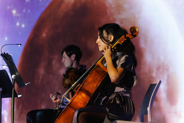 ✨Immersive Light & Music Show in Bilbao by Under The Tree