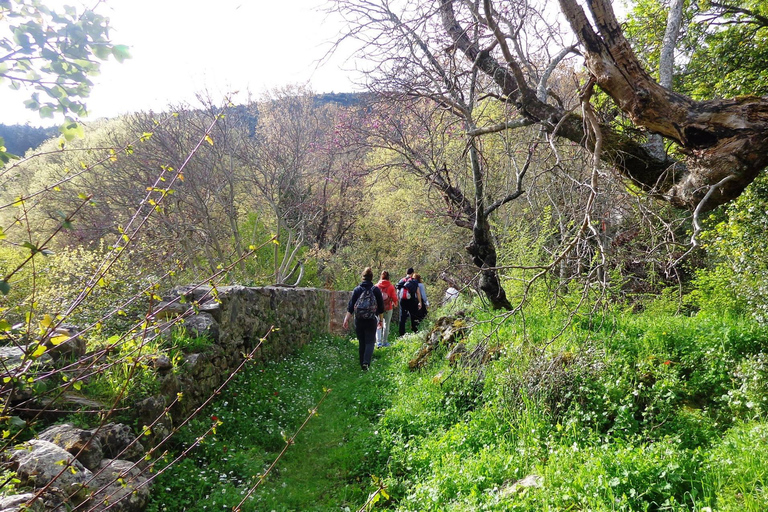 Mystras: Taygetos Bergwanderung Tour