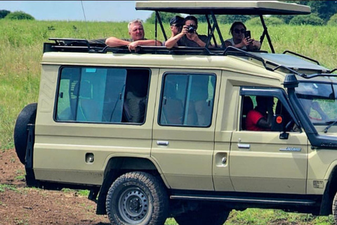 Nairobi National Park Half-Day Safari – Wildlife Game Drive