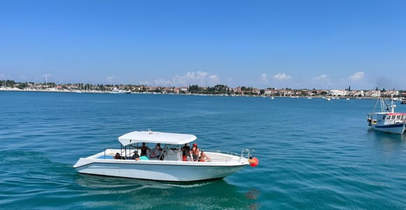 Umag: Schnorcheln & Delfinbeobachtung – morgendliche Bootstour