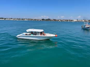 Umag: Snorkeling & dolphinwatching morning boat tour