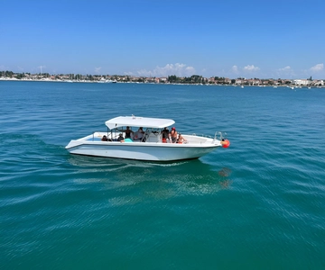Umag: Snorkel y observación de delfines tour en barco por la mañana