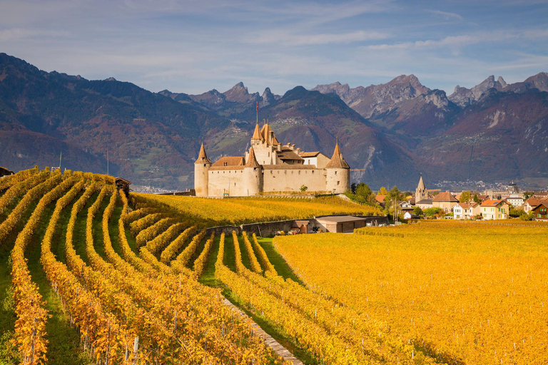 Viagem de 1 dia privada: Lausanne a Vevey, Montreux e Castelo de Aigle