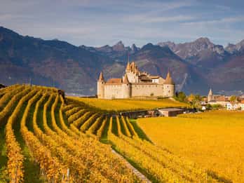 Private day trip: Lausanne to Vevey, Montreux & Aigle Castle
