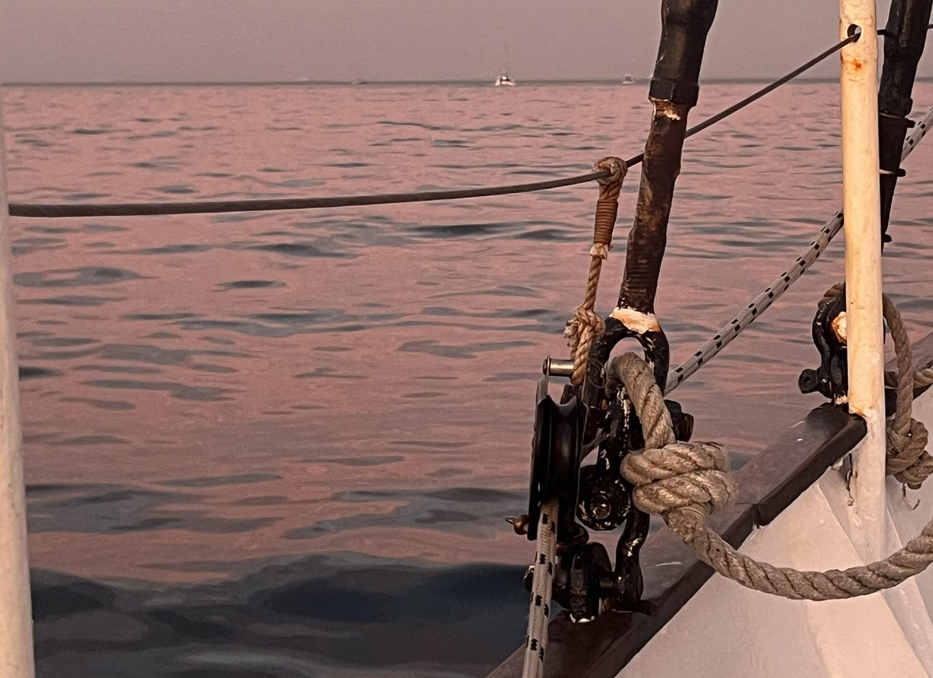 Cape Town: Solnedgangskrydstogt fra V&A Waterfront med bobler