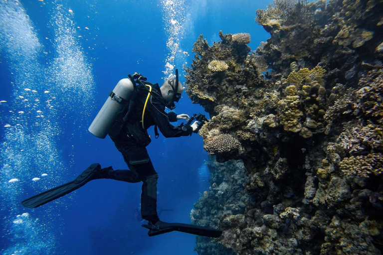 Fethiye: Discover the Underwater World Experience