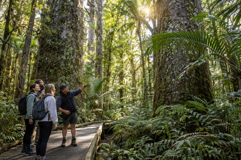 Bay of Islands: Private Wheelchair-Accessible Custom Tour