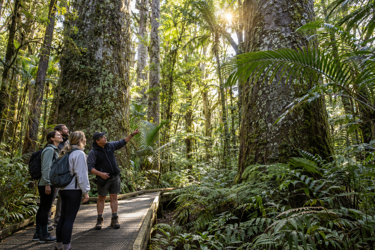 Bay of Islands: Private Wheelchair-Accessible Custom Tour