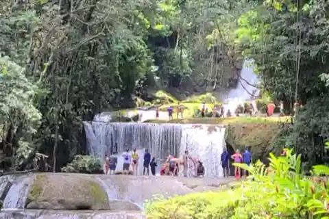 Jamaica: YS Falls and Black River Safari Tour