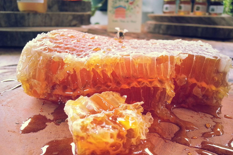 Boquete's Original Honey Tasting: 20+ Wild & Native Honeys